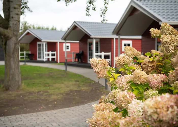 אתר קמפינג De Bijsselse Enk, Noors 7